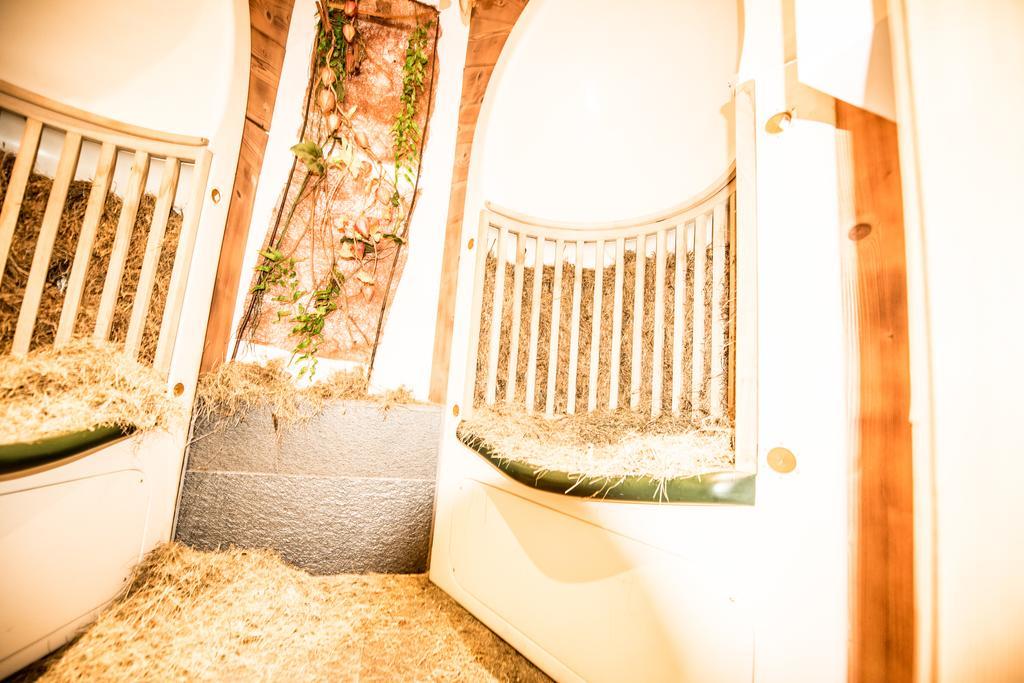 Hotel Enzian Genziana Siusi Esterno foto